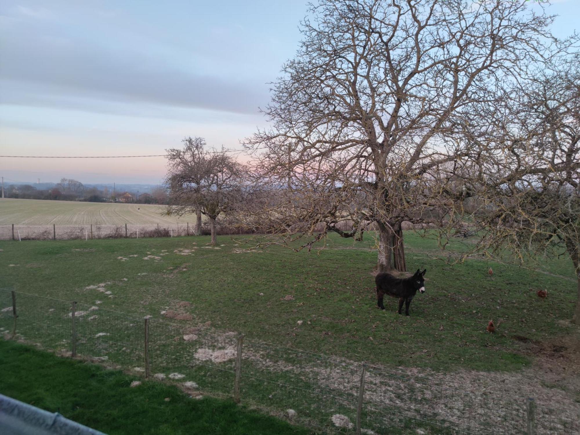 Chambre D Hote Beaumont Pied De Boeuf 外观 照片